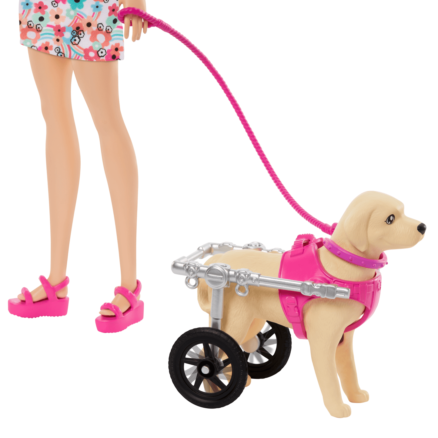 Barbie  Poup¨¦e, Chiot et Chien Dans Un Fauteuil Roulant, Accessoire